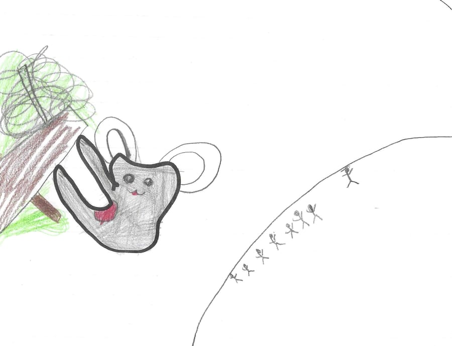 A child's pencil drawing of a koala